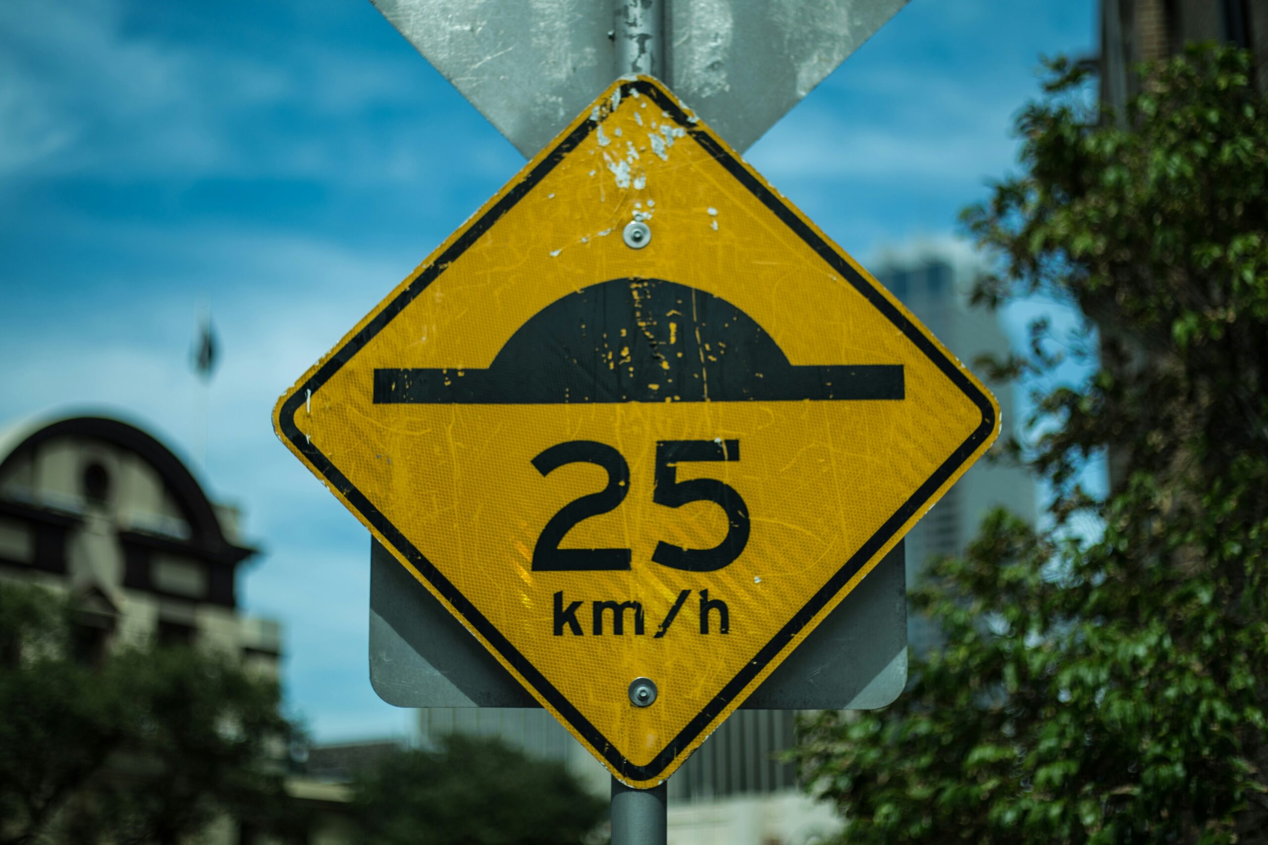 Speed hump signage