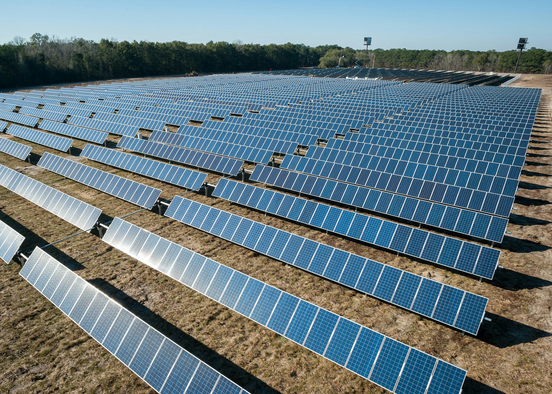 Solar farm with panels in a grassed field